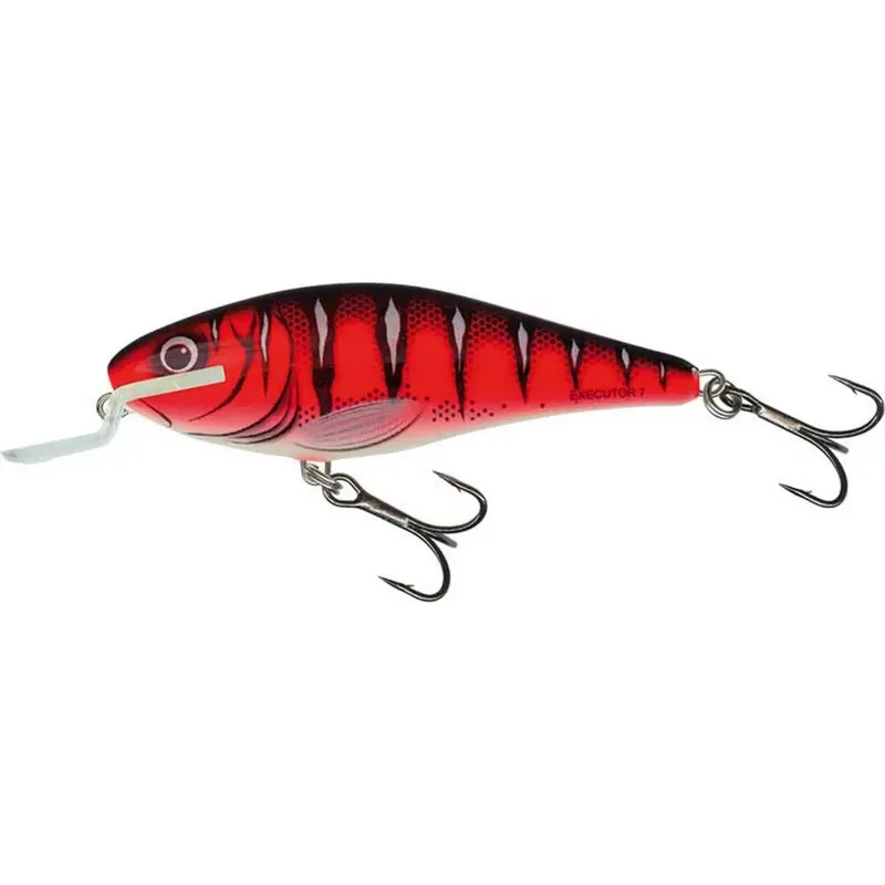 Betrouwbaar SALMO WOBBLER EXECUTOR IEX5SR REW - Akcioshorga