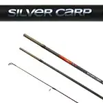 Koopje BOT CARP EXPERT SILVER CARP POWER FLOAT 3.9M 70-120g - Bruta