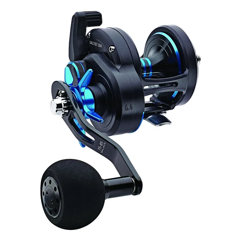 Betrouwbaar DAIWA 18 SALTIST 35H