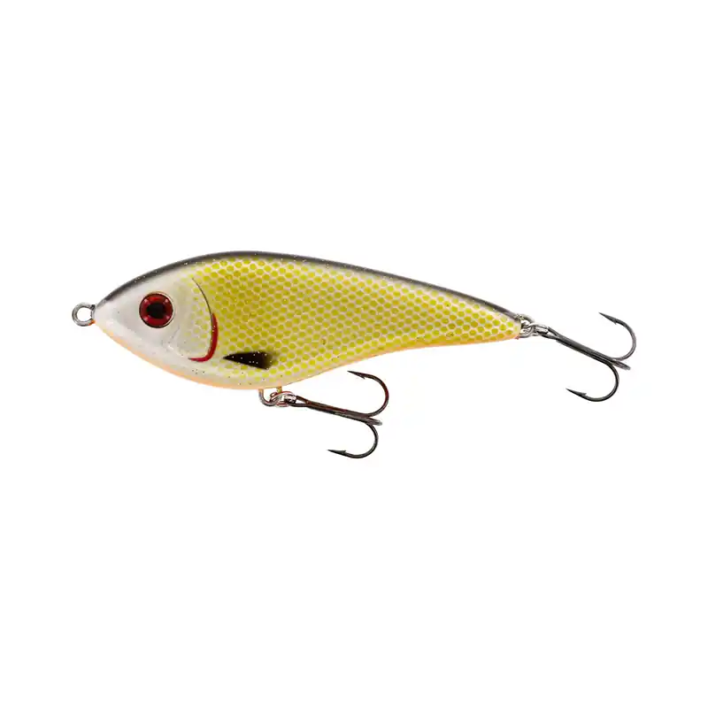 WESTIN SWIM GLIDEBAIT 12CM 53GR SUSPENDING OFFICIAL ROACH Direct Beschikbaar