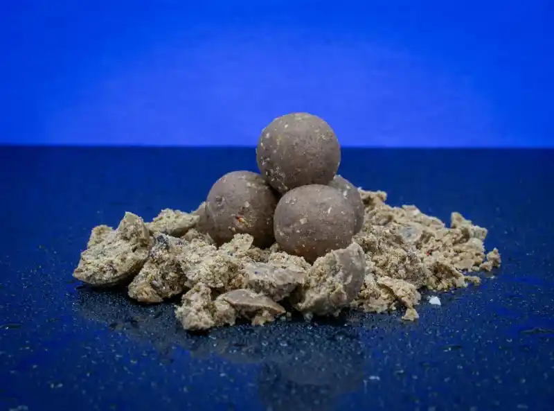 Bait Bait Rodin (A Gondolkodó) Bojli - Tartósított Méret 20 Direct Verzonden