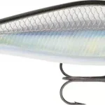 Laatste Kans Rapala SHADOW RAP SHAD SDRS09 S