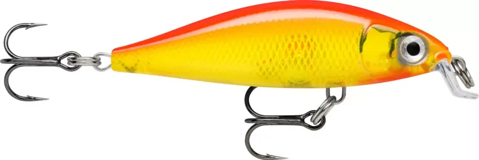 Meest Verkocht RAPALA X-LIGHT MINNOW FNM05 GFR wobbler