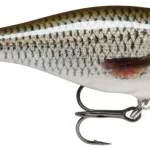 Direct Beschikbaar RAPALA SHALLOW SHAD RAP SSR05 ROL