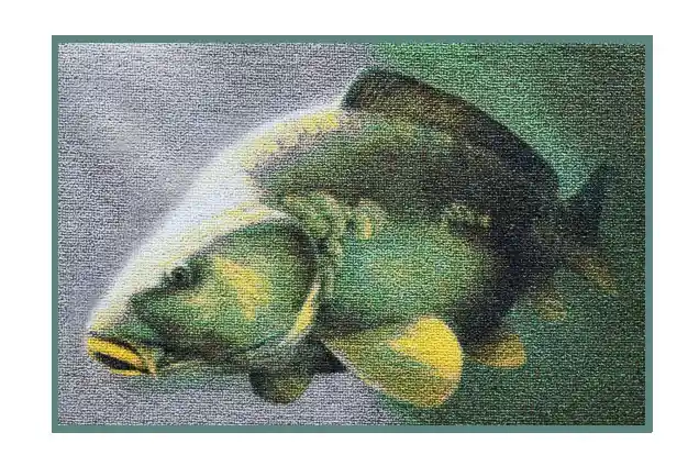 Szőnyeg 3D ponty 60x40cm Betaalbaar