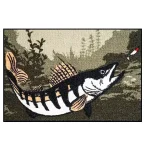 Szőnyeg Delphin CatchME! Fogassüllő 60x40cm Koopje