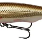 Veilige Betaling Savage Gear GRAVITY TWITCH MR 6.7CM 7G SP DIRTY R - Fishingl