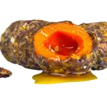 Rechtstreeks Van De Fabrikant LK Baits Nutrigo Amur Herb Nectar 150ml, 20mm Csalizó Bojli