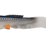 Abu Garcia Beast Curltail 21cm 4pcs Roach Exclusieve Aanbieding