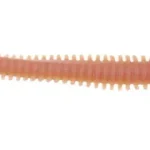 Berkley GASHPNE6-NAT GA HLFP NEREIS 6 NATURAL - Fishingland. Dagaanbieding