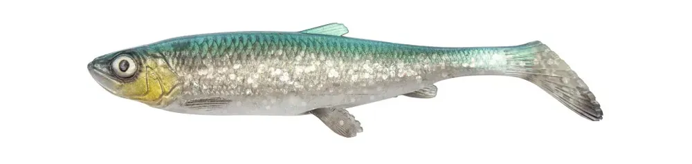 Dagaanbieding Savage Gear 3D HERRING SHAD 15CM 23g GRN SLV 2PCS - Fishingl
