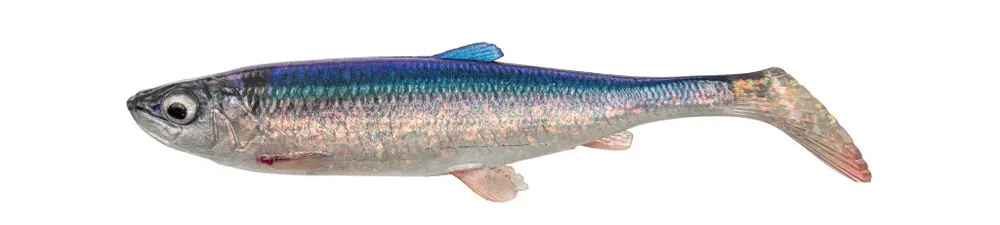 Dagaanbieding Savage Gear 3D HERRING SHAD 21.5CM 65g HERRING 1PCS - Fishin
