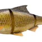 Flitsaanbieding Savage Gear 3D LT ROACH 25CM 206G SS GLITTER BREAM - Fishing