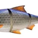 Beste Prijs Savage Gear 3D LT ROACH 32CM 420G SS BLUE ROACH - Fishinglan