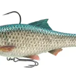 Speciale Aanbieding Savage Gear 3D Roach RTF FS 12CM/34G GREEN SILVER - Fishingl