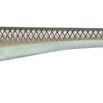 Express Levering Savage Gear MONSTER SLUG 20CM 33G GREEN SMELT 2PCS - Fishing