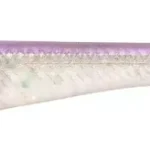 Savage Gear MONSTER SLUG 20CM 33G PEARL SHINER 2PCS - Fishin Koop Vandaag