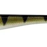 Beperkt Aanbod Savage Gear MONSTER SLUG 20CM 33G PERCH 2PCS - Fishingland.h