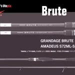 Lage Kosten APIA GRANDAGE BRUTE AMADEUS S72ML-SS 2.18m 3-14gr - Fishingl