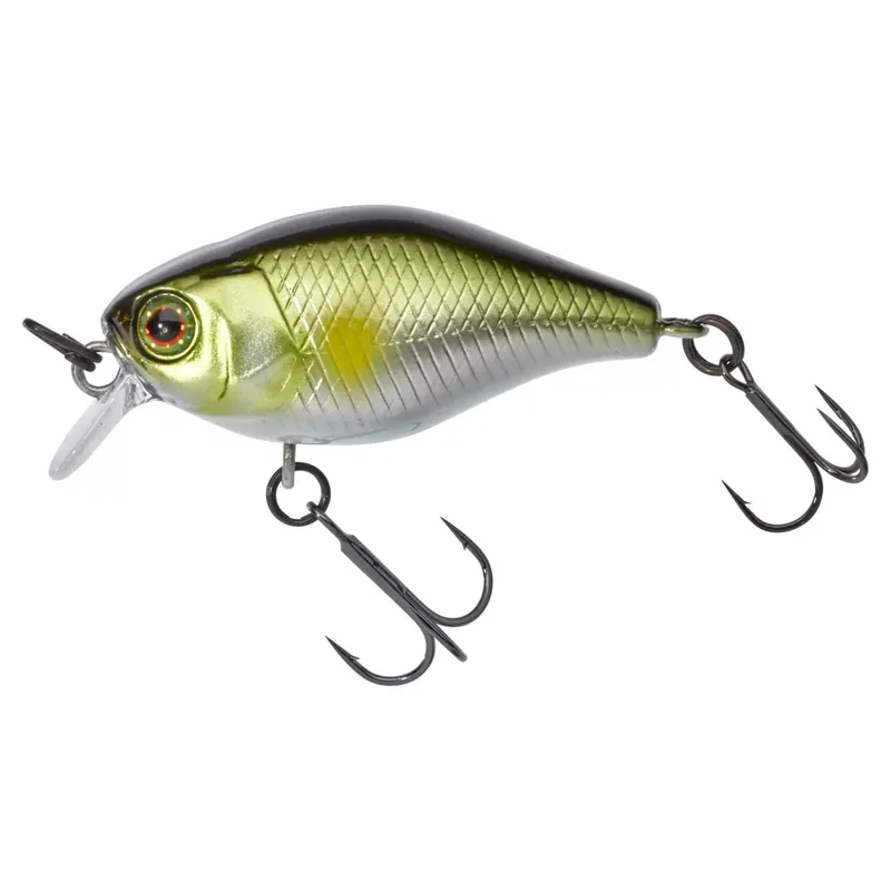 Alleen Vandaag Illex Chubby 3,8cm Ayu