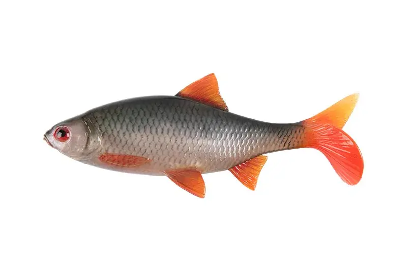 Ultra Natural Roach - 18cm Goedkoop
