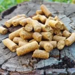 Gecertificeerd DUDI BAIT CSL PELLET 1kg