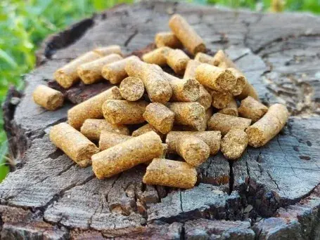 Gecertificeerd DUDI BAIT CSL PELLET 1kg
