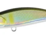 Koop Vandaag DUO SPEARHEAD RYUKI 46S 4.6cm 5gr ANA4010 Ayu - Fishingland.