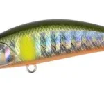 Koop Online DUO SPEARHEAD RYUKI 50S 5cm 4.5gr AHA4006 Ayu OB - Fishingla