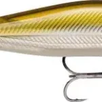 Direct Beschikbaar RAPALA Precision Xtreme Air Boss 80 mm/9g AYU - Fishingland.