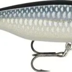 Nu Kopen RAPALA X-LIGHT PENCIL FNPC05 BAP