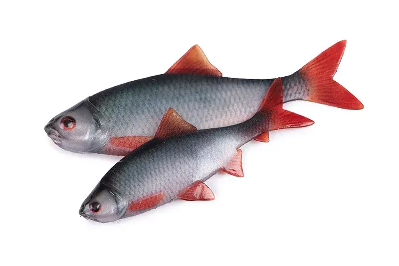 Bestel Nu Ultra Natural Roach Fillet 8cm 4pcs