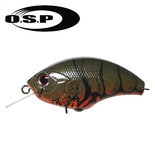 BLITZ Z37-GREEN CRAW Flitsaanbieding