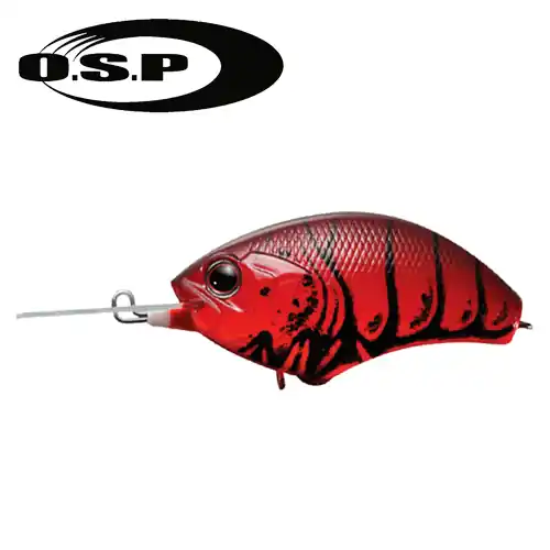 BLITZ Z08-RED CRAW Direct Beschikbaar
