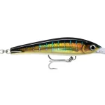 Koopje Rapala X-RAP MAGNUM XTREME 16CM - HD Sailfish UV