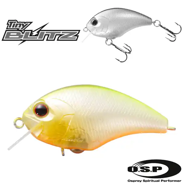 Beste Prijs OSP TINY BLITZ P64 - PEARL/CHART BACK