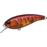 Evergreen BELCANTO 19 SPRE SPAWN DYNAMITE Bestseller