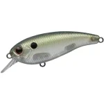 Evergreen BELCANTO 390 GREEN MULLET Beperkt Aanbod