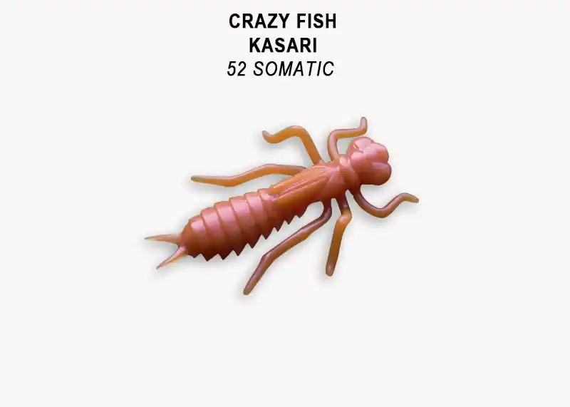 Exclusieve Aanbieding Crazy Fish Kasari 1.6"