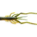 Daiwa Bubble Shrimp 4.5" America Zarigani Veilige Betaling
