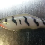 ZT Zander 6cm WhiteTiger Beperkte Voorraad
