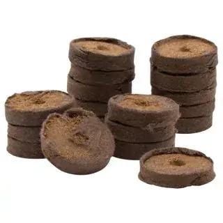 Beperkte Voorraad Kókuszrost ültető korong D 3,5cm, 18x
