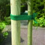 facsemete rögzítő 4cmx2m nature Gratis Retour