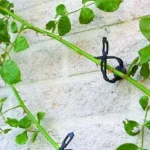 futónövény rögzítő 150 cm nature Gereduceerde Prijs
