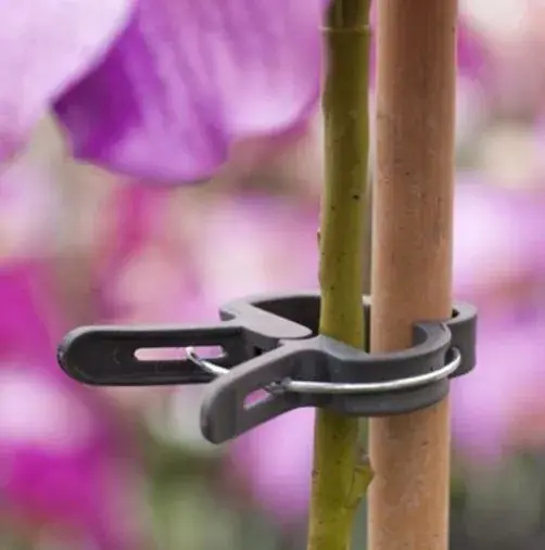 Favoriet futónövény rögzítő csipesz d18mm 5db szett nature