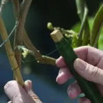 Veilige Betaling kötöződrót 0 7mm 2db 40m db nature