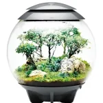Bestseller biorb air 60 bonsai