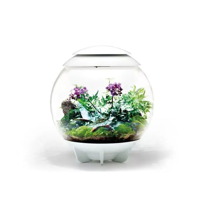 biorb air 60 moss and fern Merkproduct