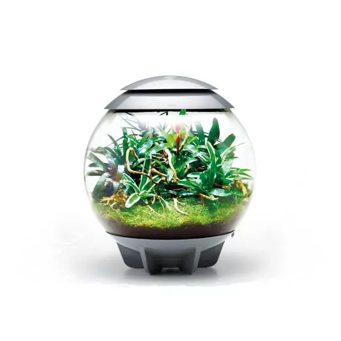 biorb air 60 orchids Actieprijs