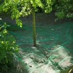Shop Nu gyümölcsfogó háló 4 3x4x3m 6x6mm 45g m2 nature